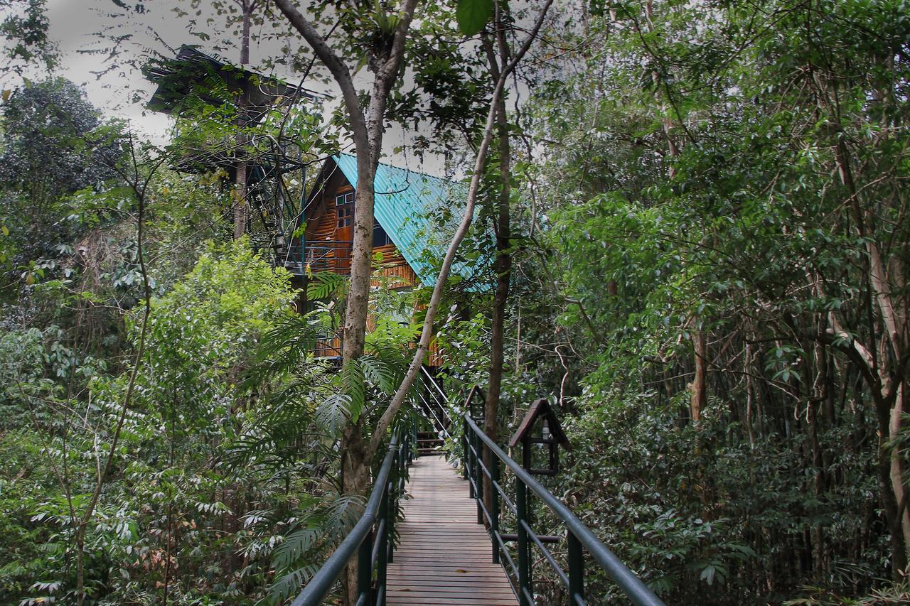 Khao Sok Tree House Resort Khao Sok National Park Eksteriør billede