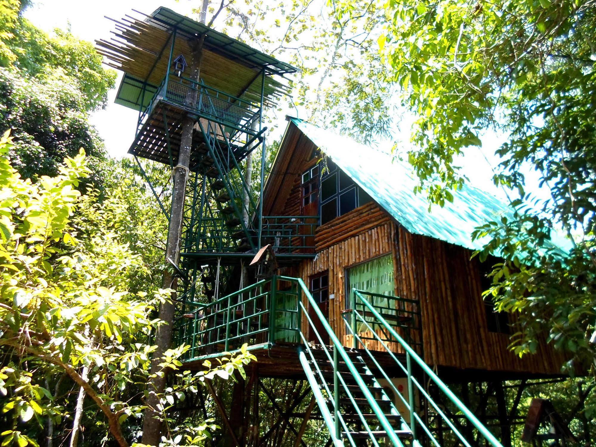 Khao Sok Tree House Resort Khao Sok National Park Eksteriør billede