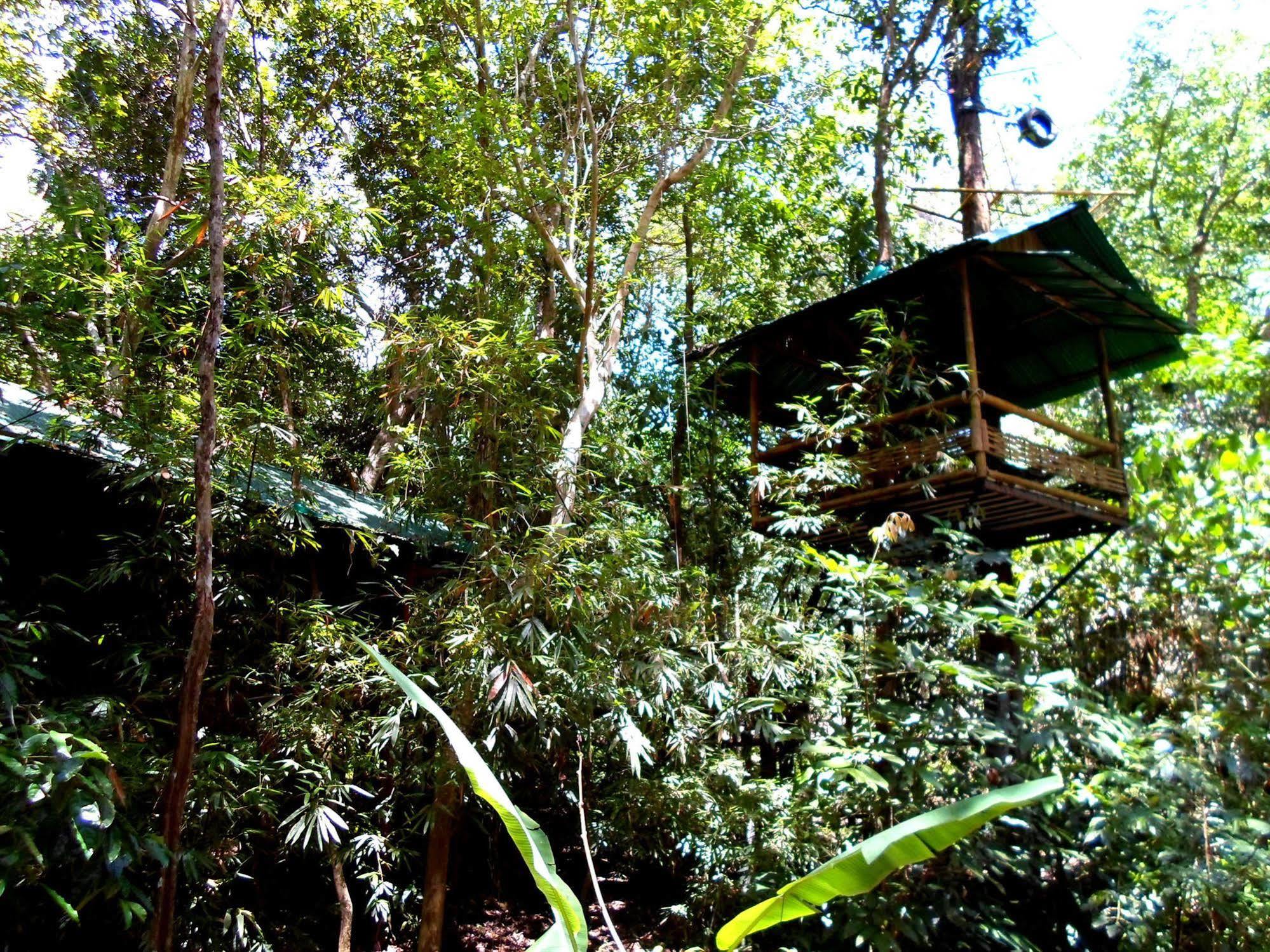 Khao Sok Tree House Resort Khao Sok National Park Eksteriør billede