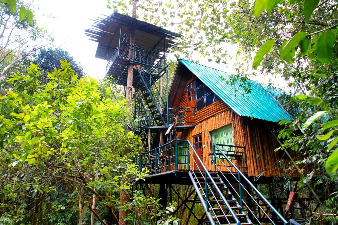 Khao Sok Tree House Resort Khao Sok National Park Eksteriør billede